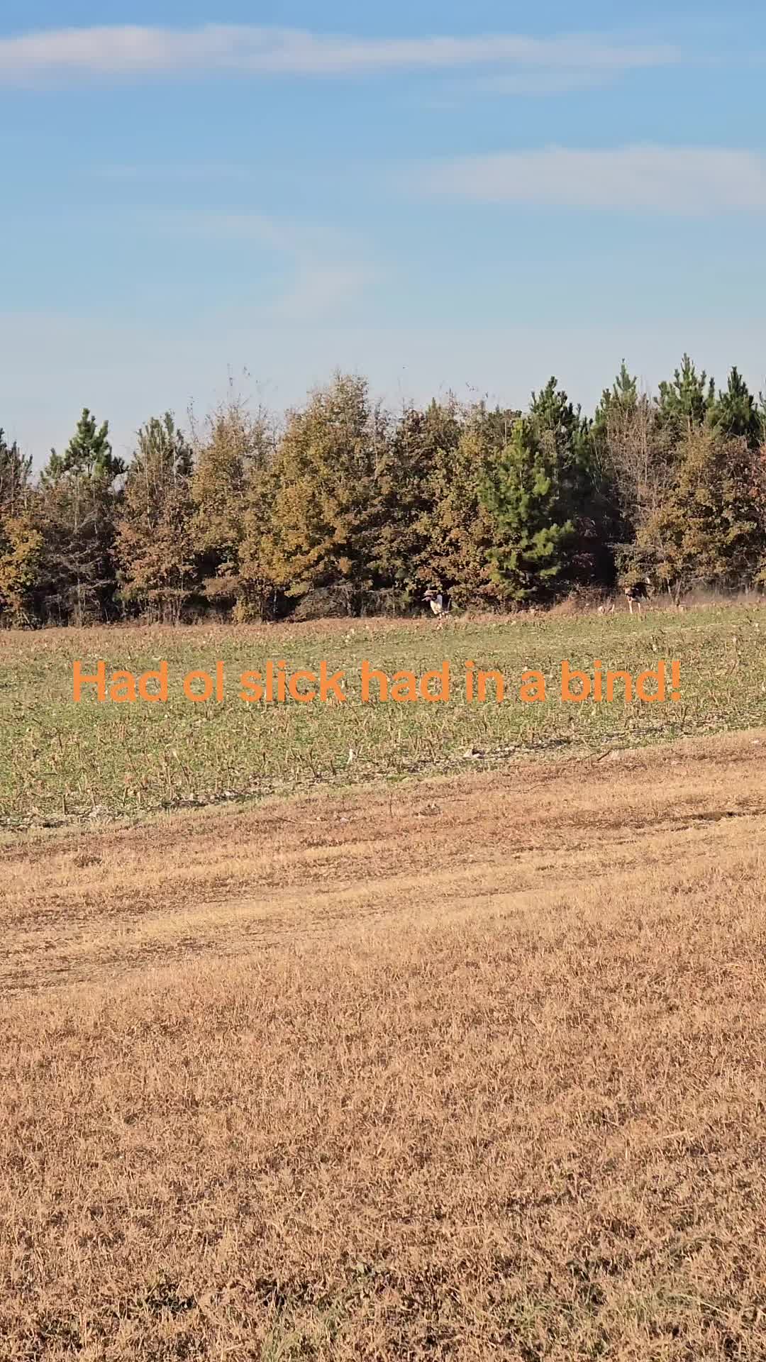 @Dj pimp juice country boy