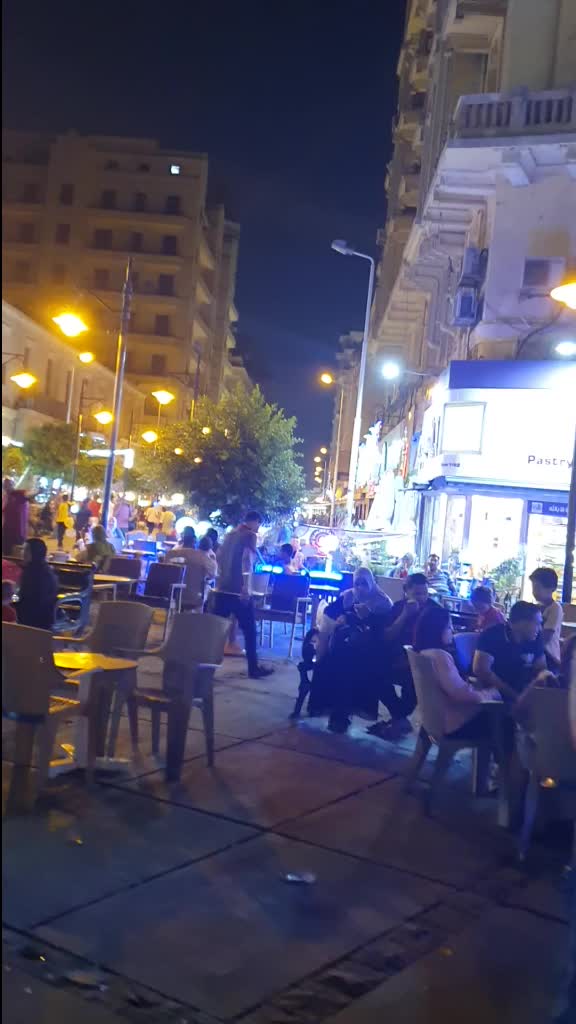 @Adel N. Samarkandi