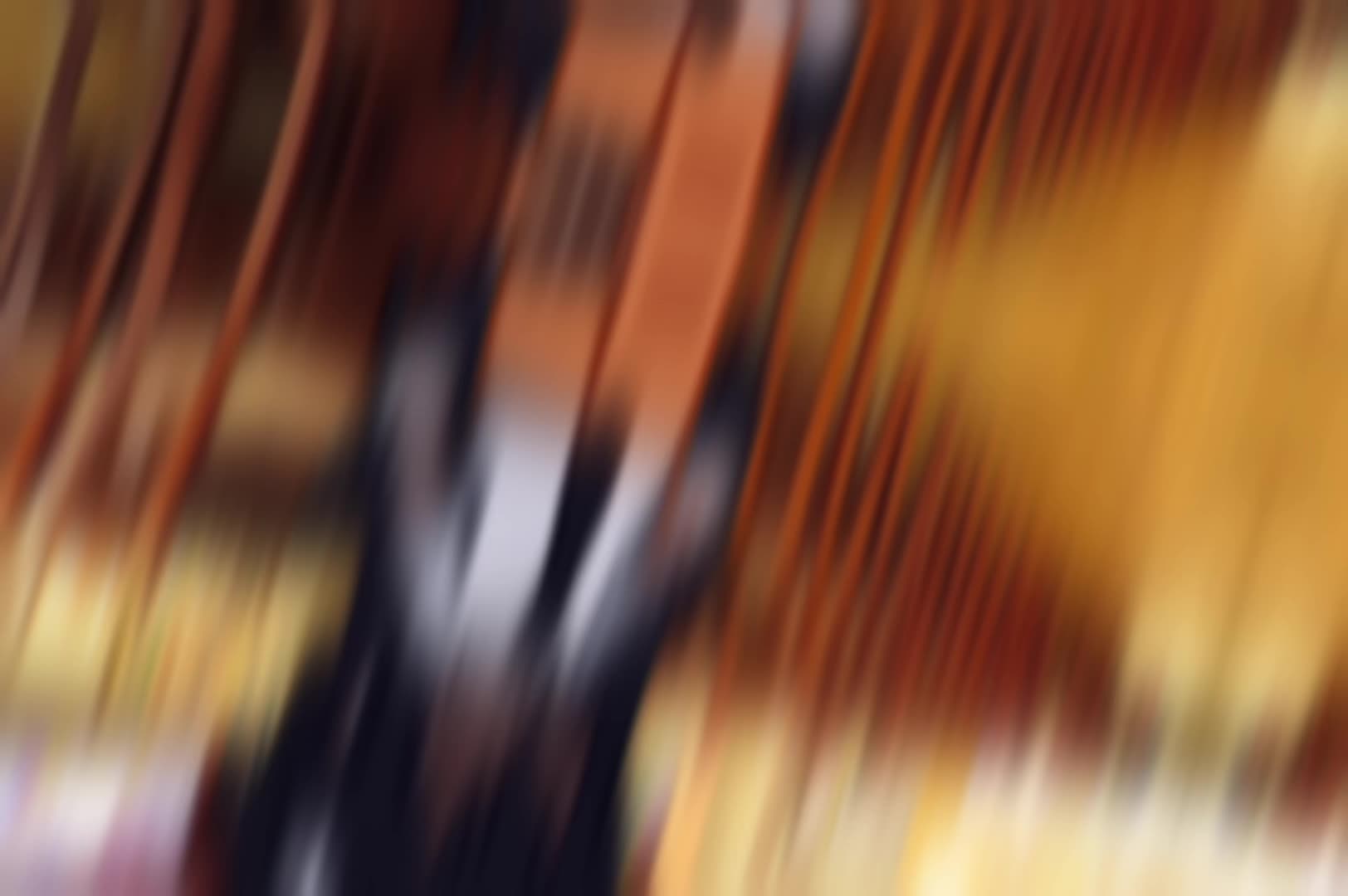 @╚「Auds Open!!! 」╝