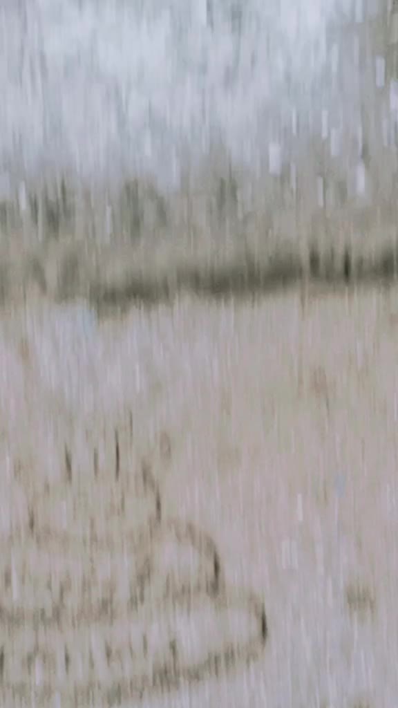 @Tanuja Biswas