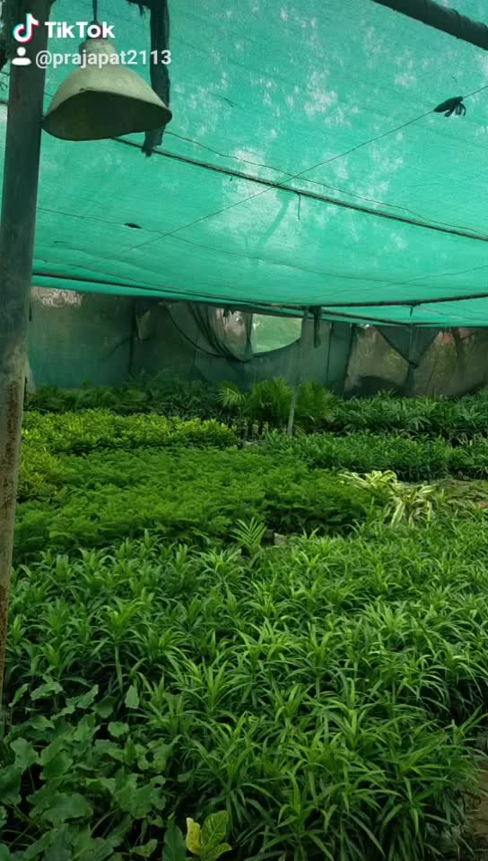 @prajapat anjali