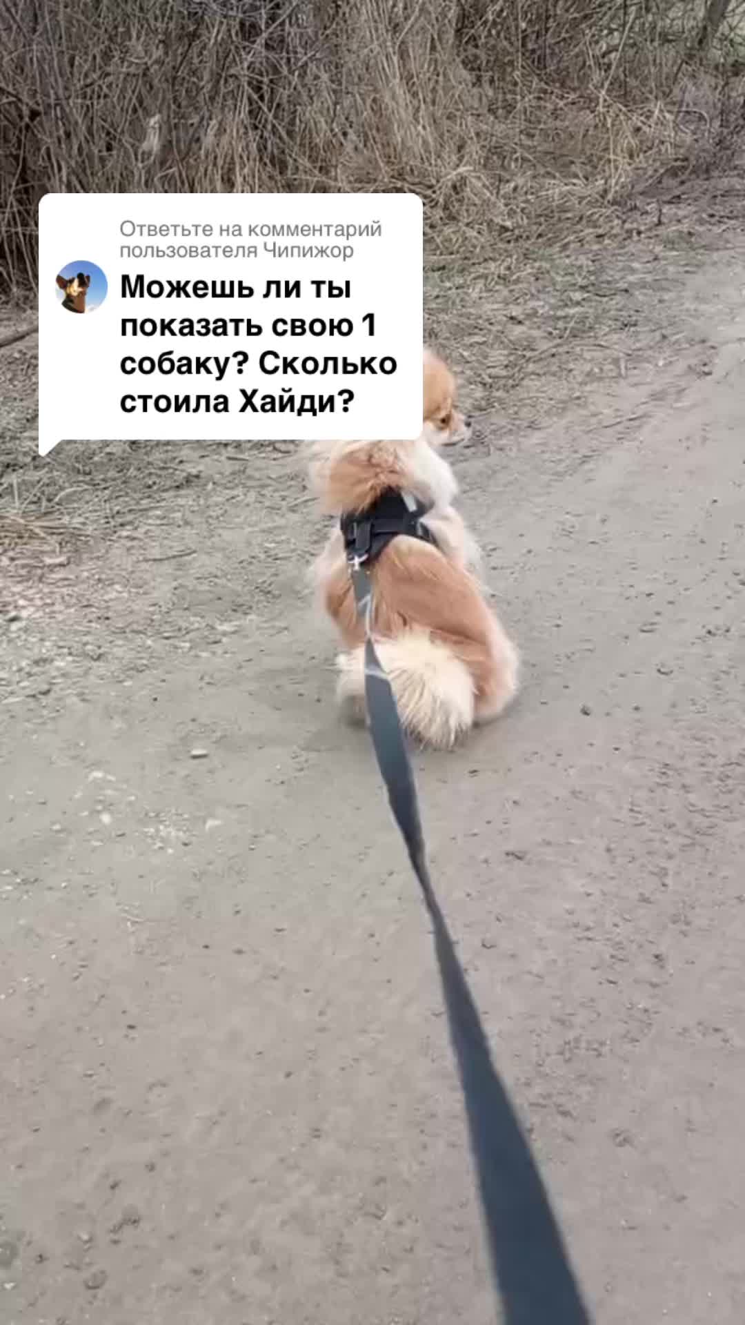 @бк💋