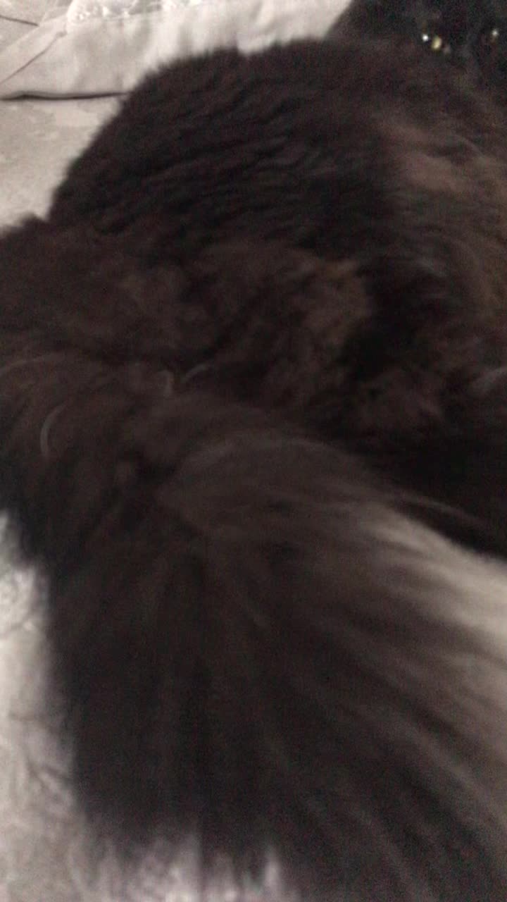 @МОНАВЛЮ