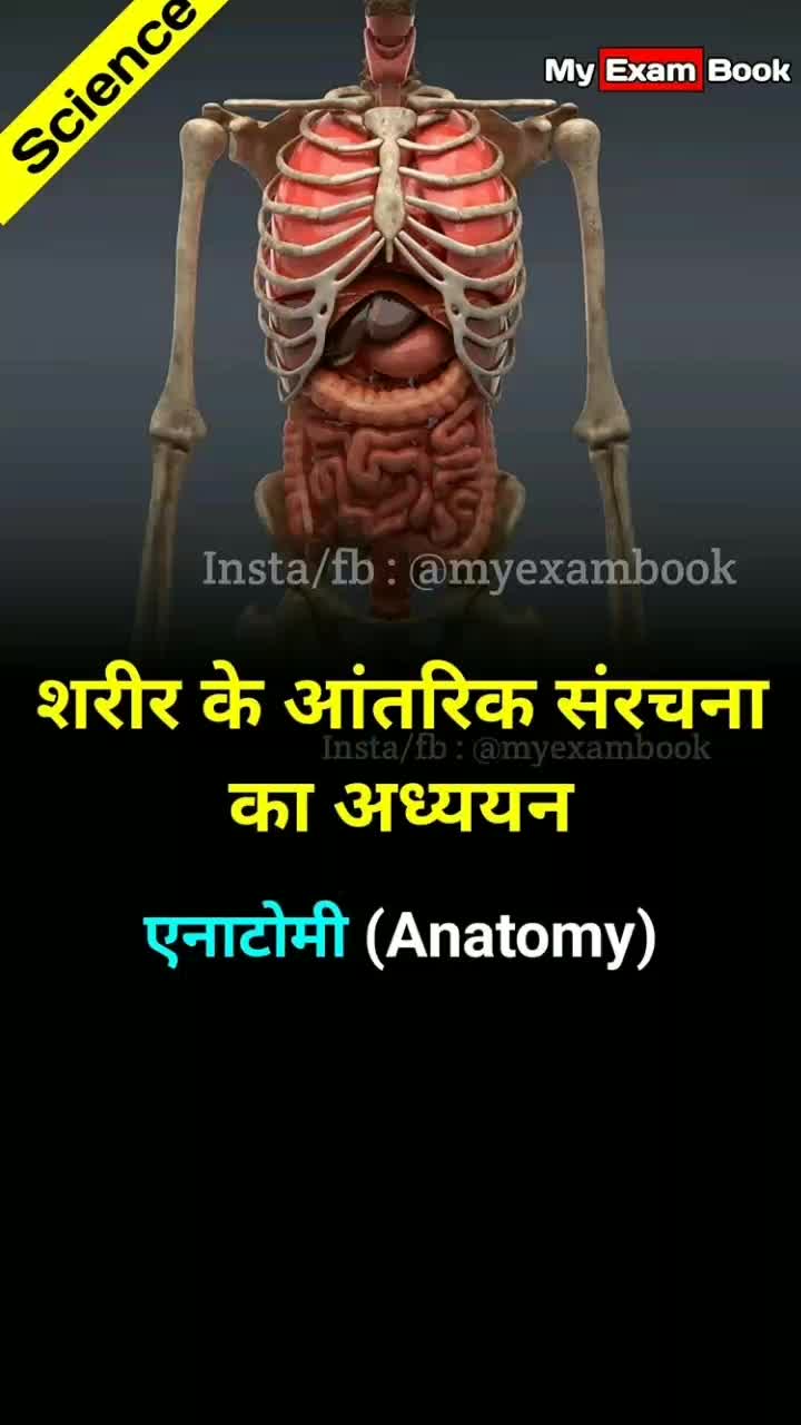 @Bittu_17✔️