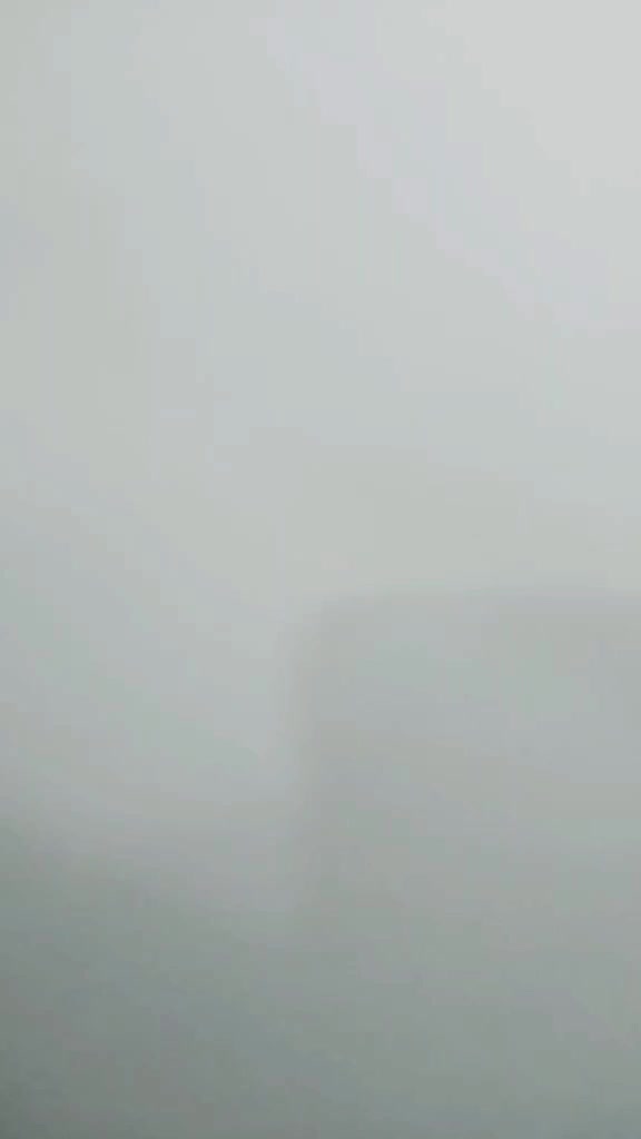 @魚ㄐㄐ