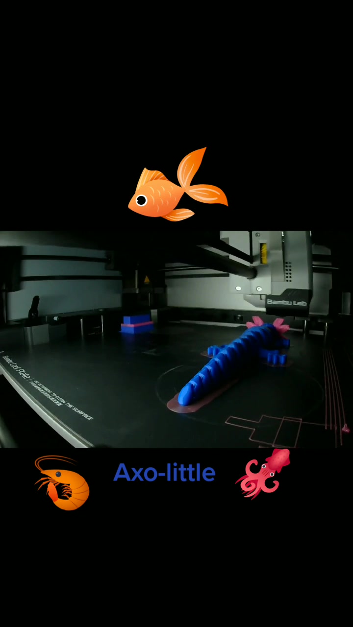 @imagination3d