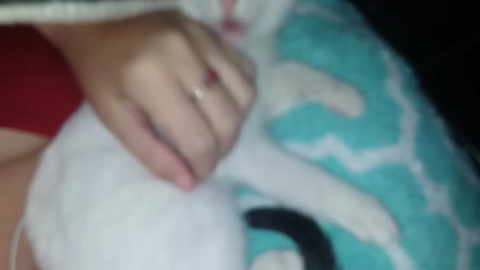 @Kasdeya💮