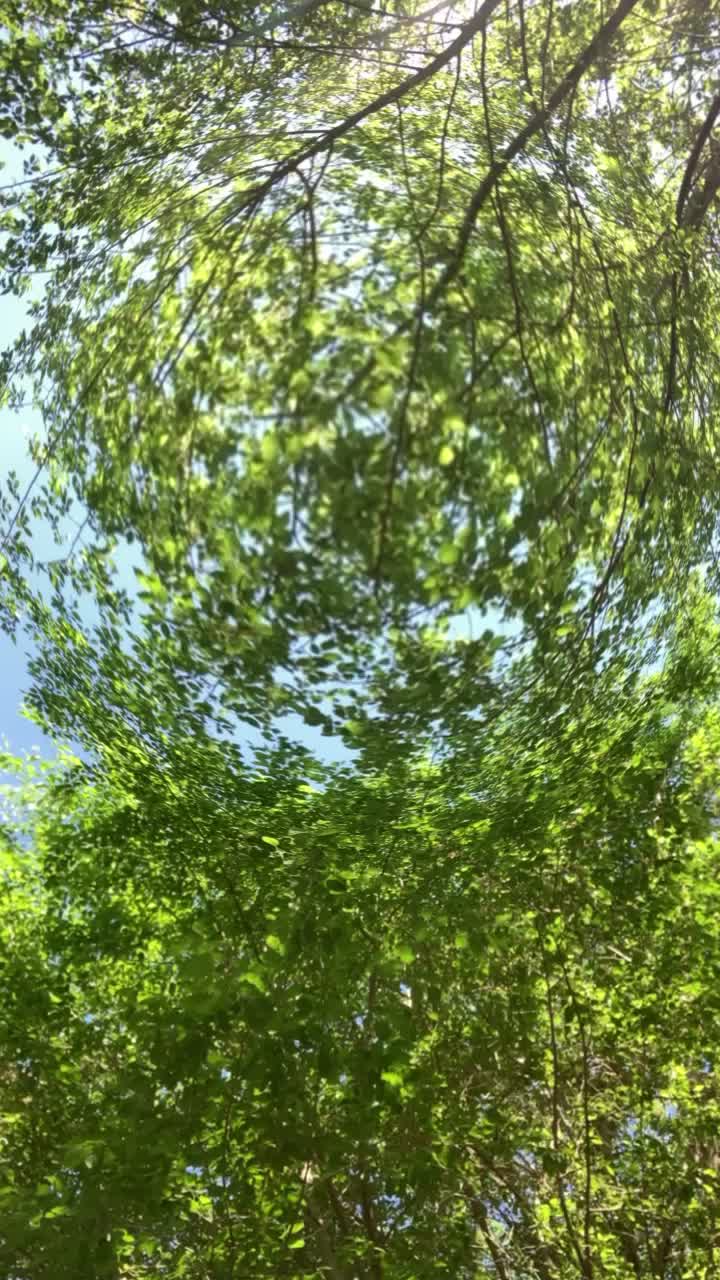 @CTNBEH