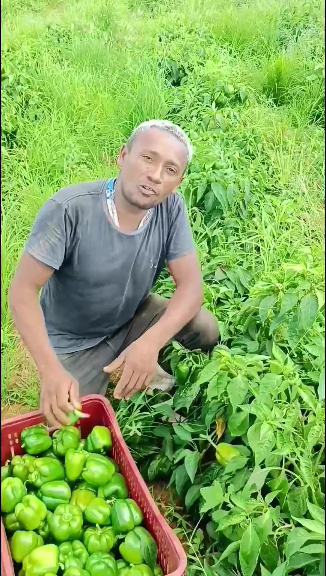 @@Z&Eacute; SALES NA VOZ