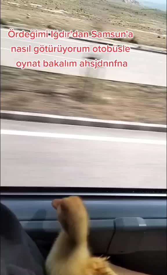 @NUR ARSLAN