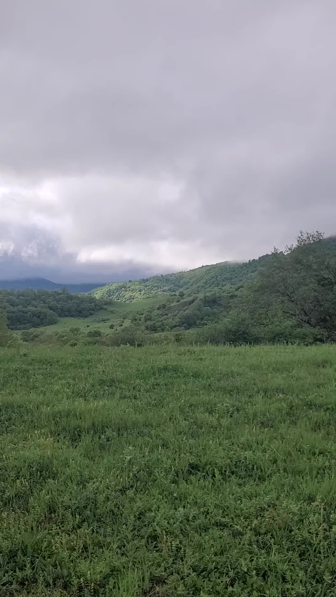@ABUMAXMUT