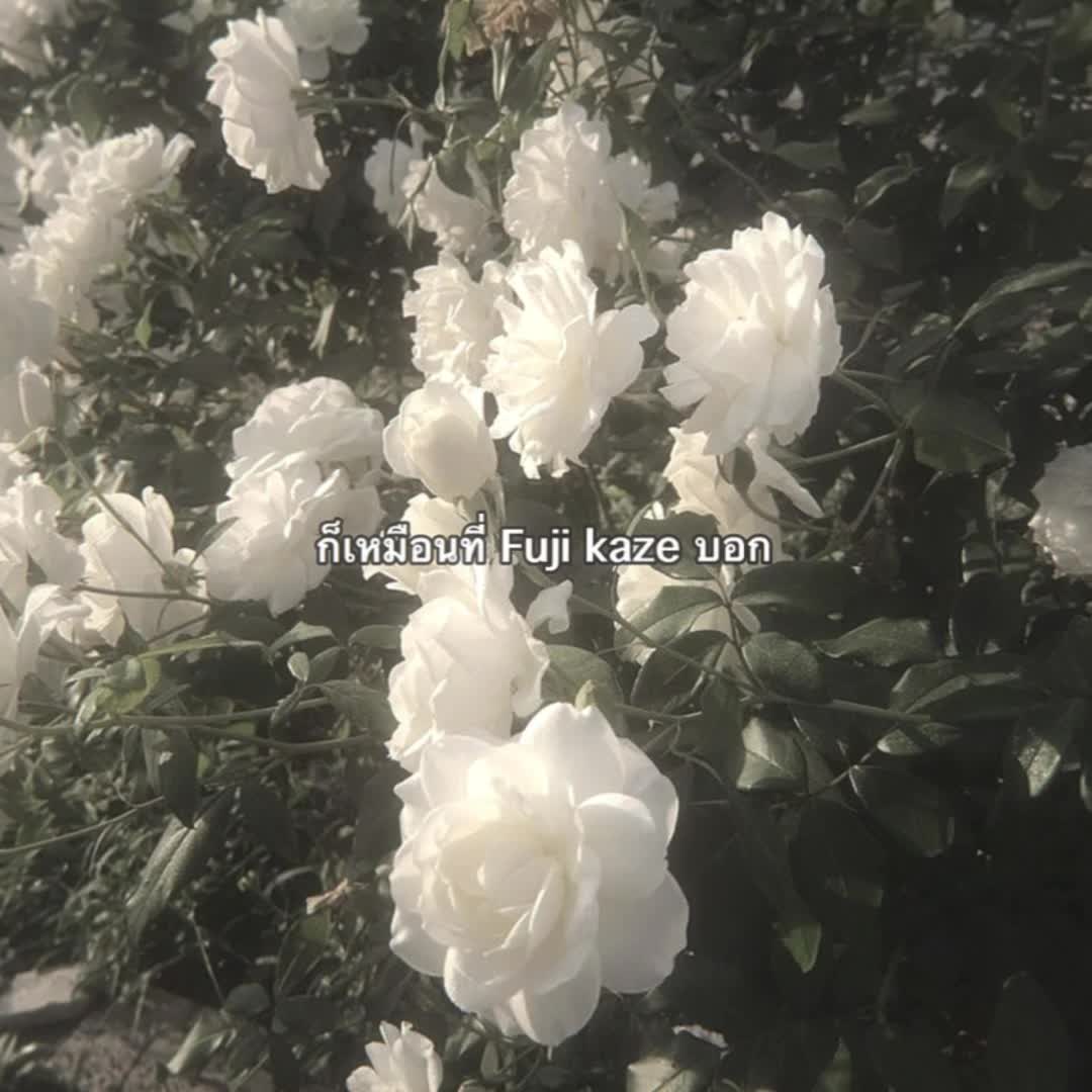 @Kriim🌟