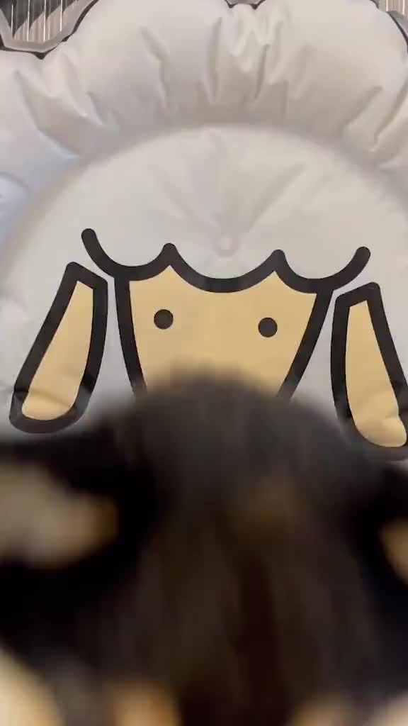 @ASMR