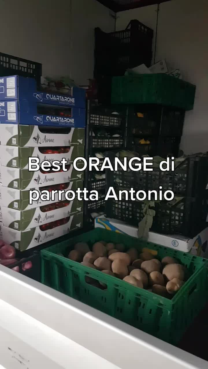 @Antonio Parrotta