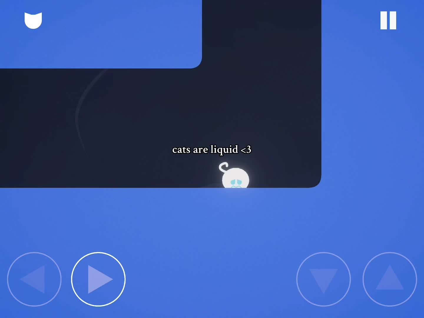 @cats are liquid ‼️