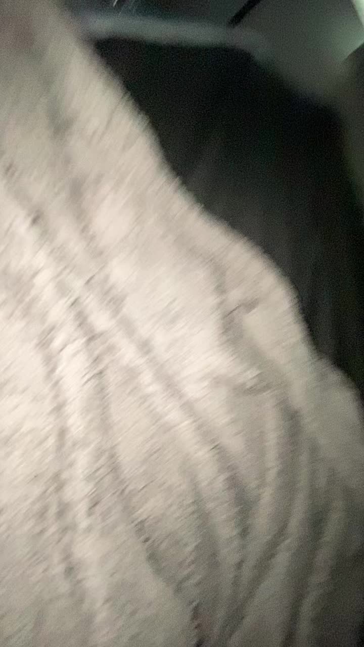 @corpse_collie🚦