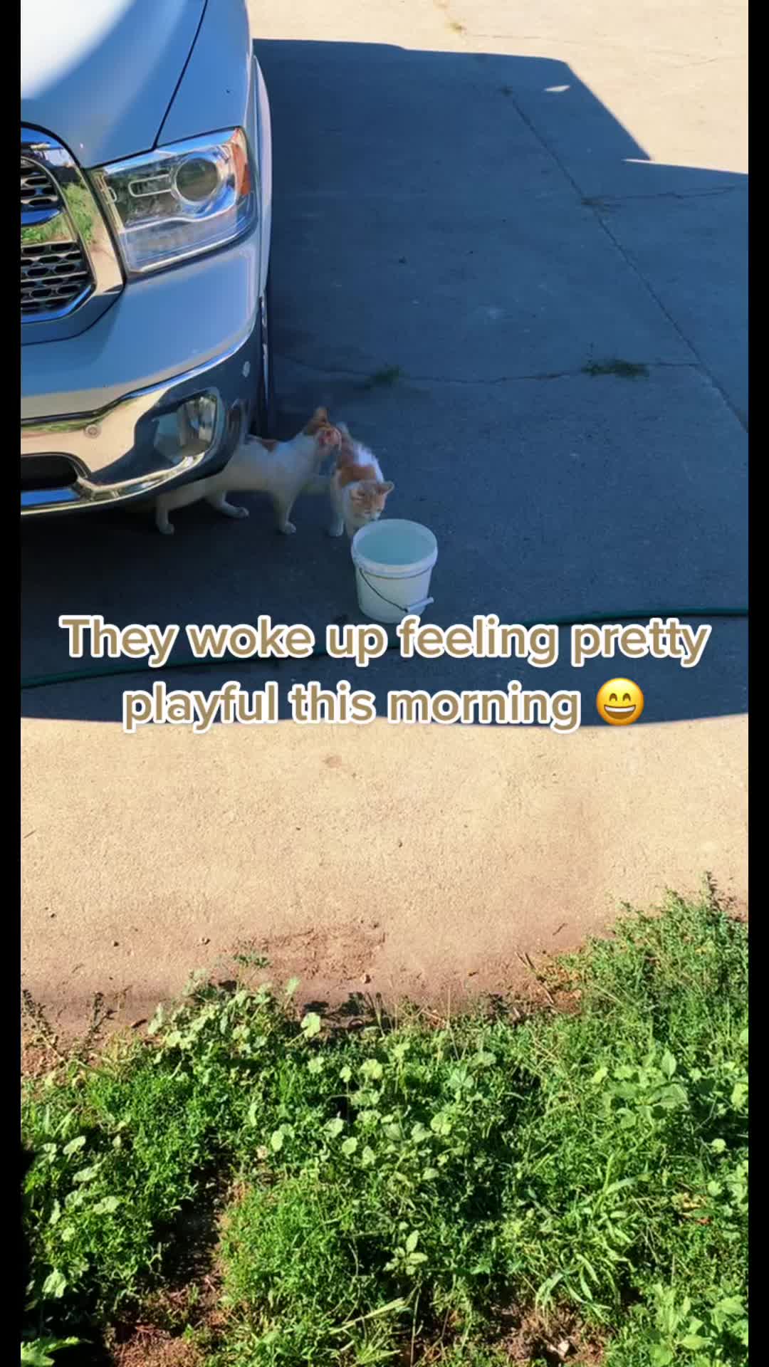 @bobby17tex