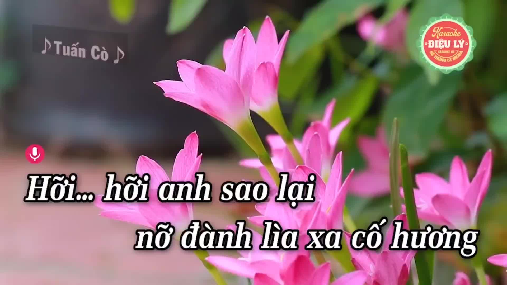 @M&ecirc; ca h&aacute;t
