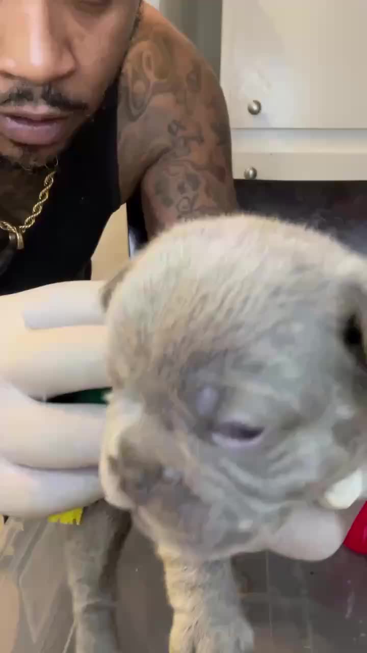 @Kane4L