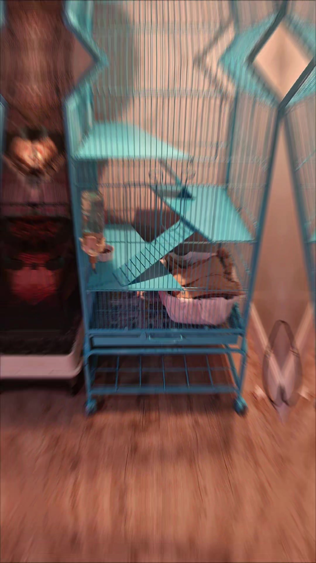 @Haru