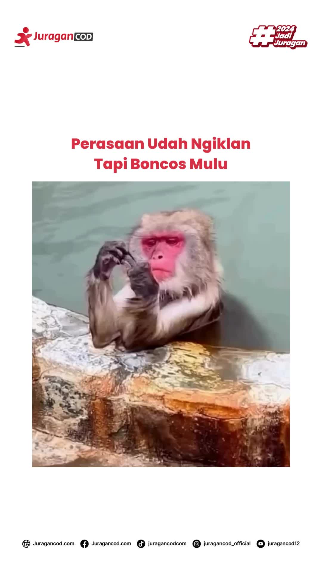@kirim paket 4ribuan