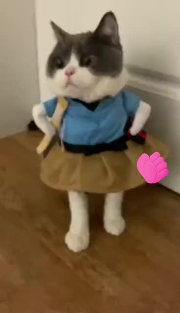 @Сергей