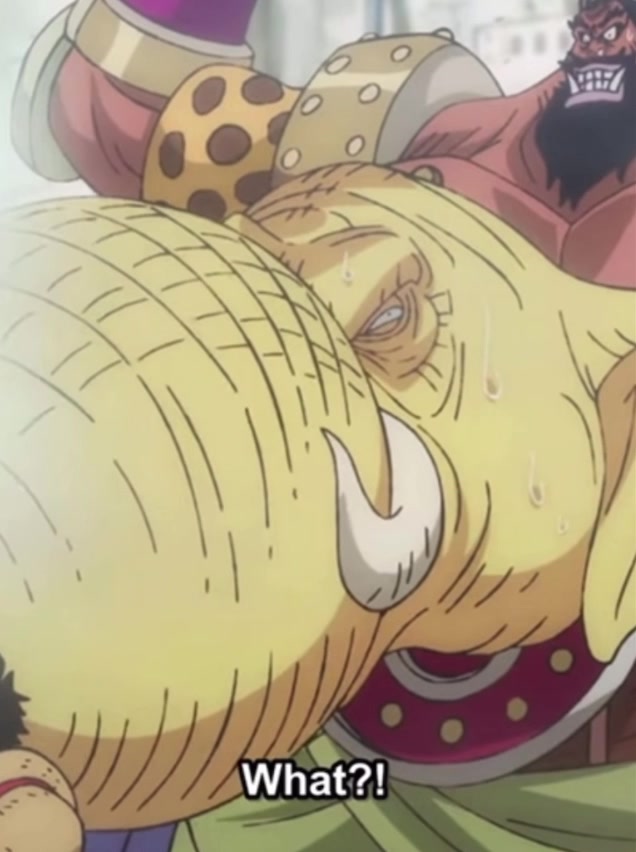 @Luffy