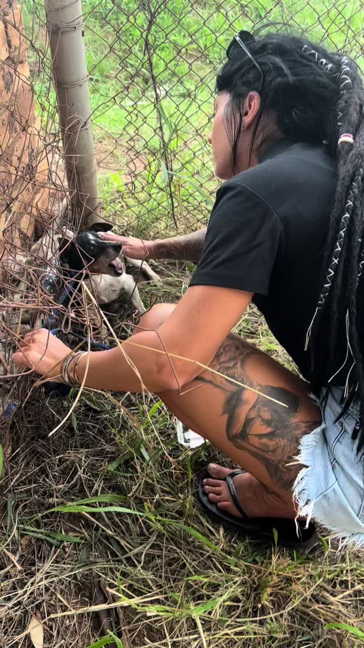 @allheartsfoundation