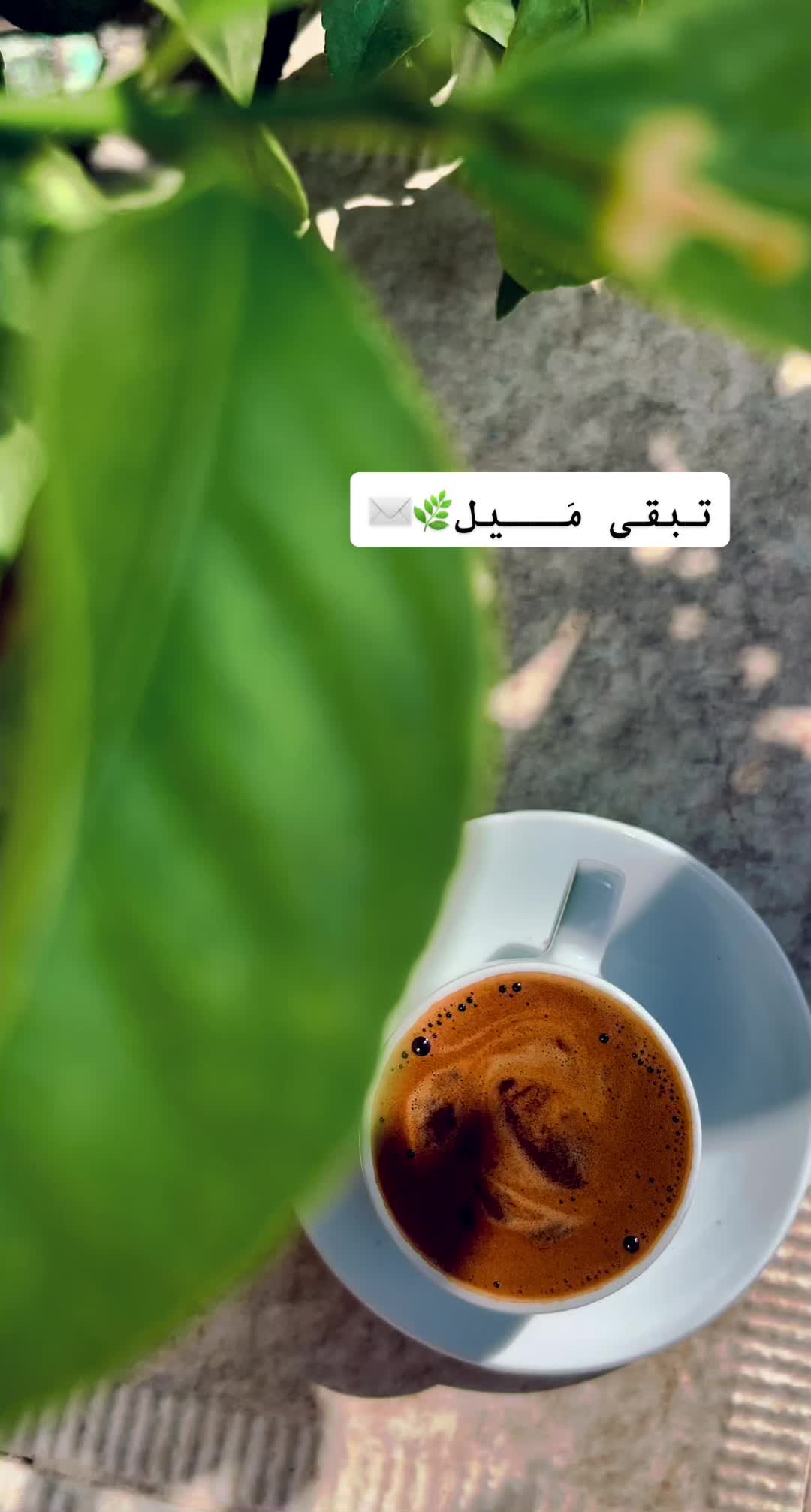@HayoOsh M Diyab📷 ᥫ᭡