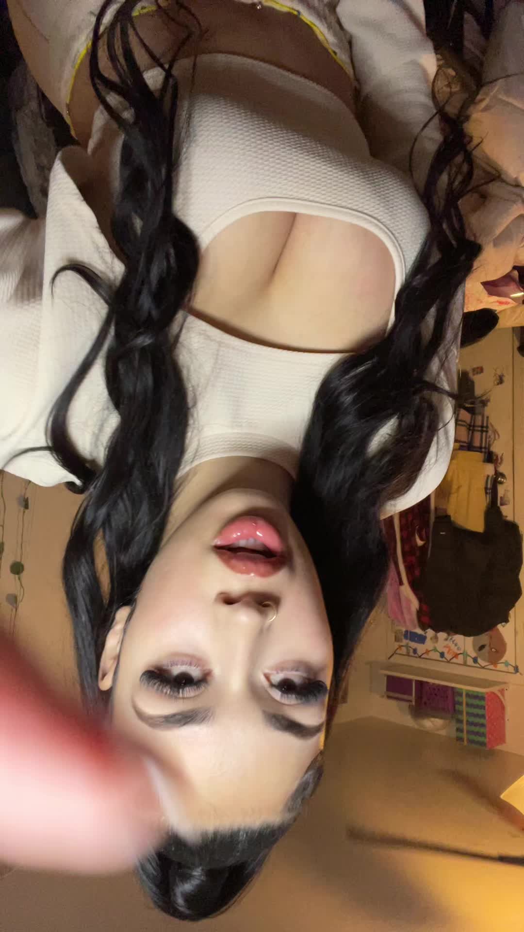 @Snowbleuu