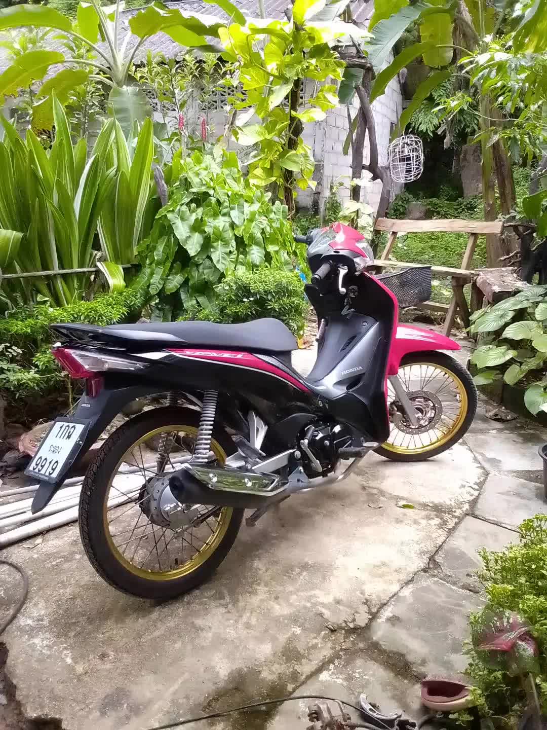 @@ นัน 2522 (2)