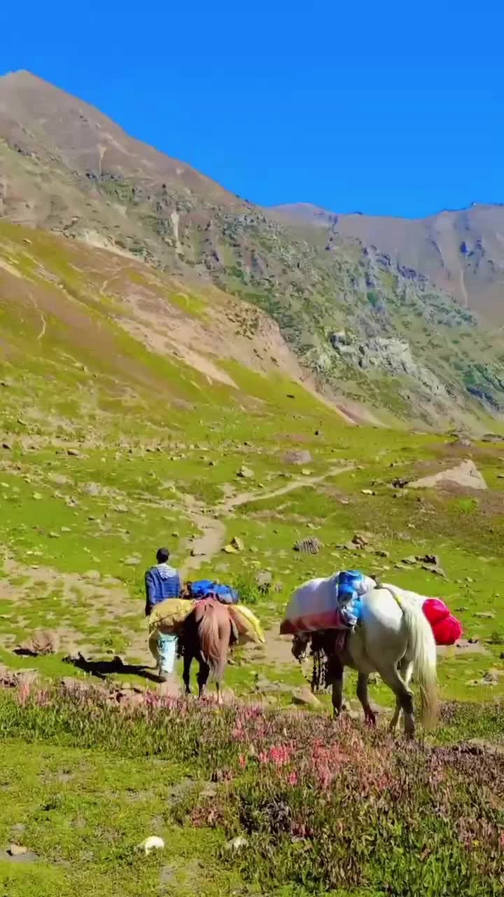 @Zahoori65