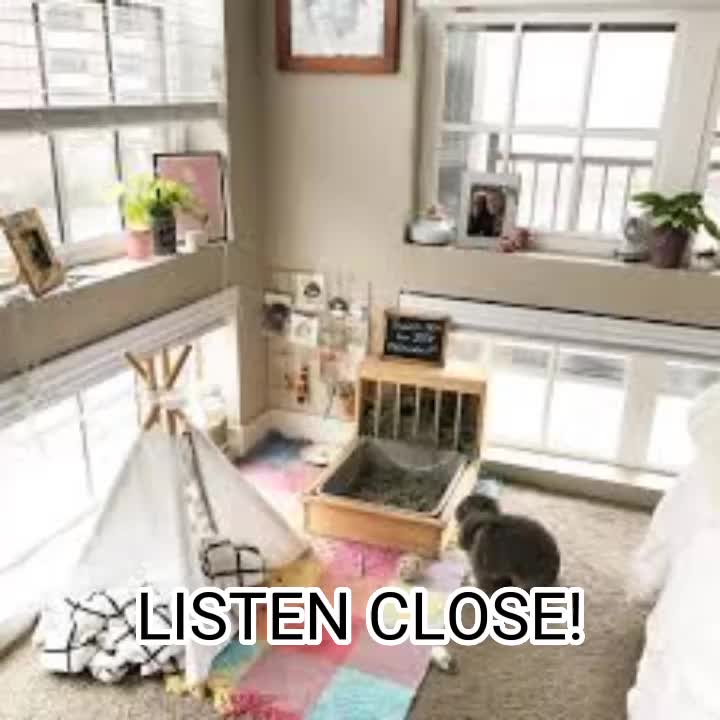 @Bunny lux 🐇🐰