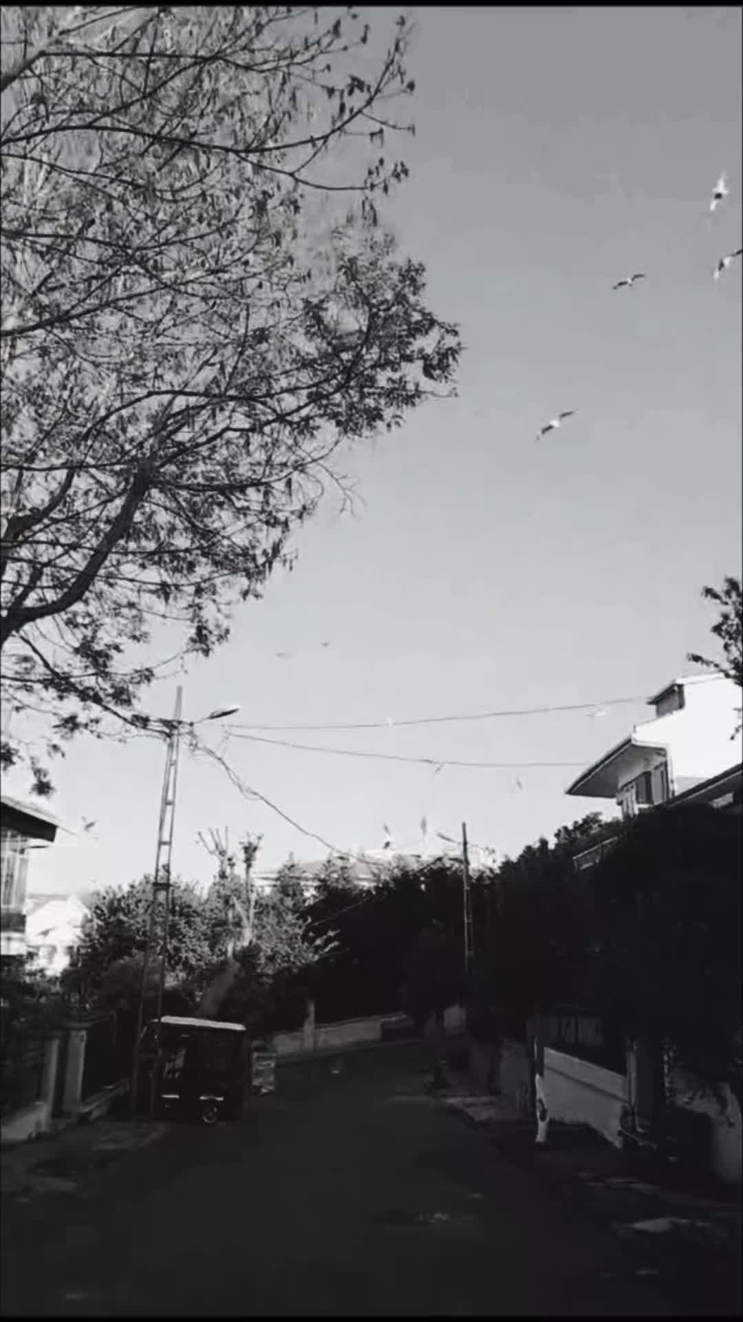 @🦋ĘŁVĄŊ♡🦋