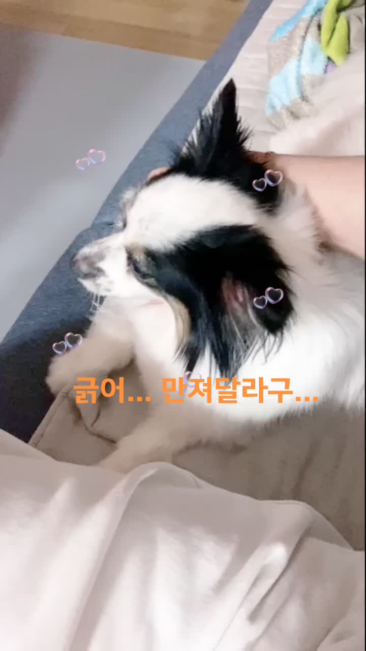 @jju