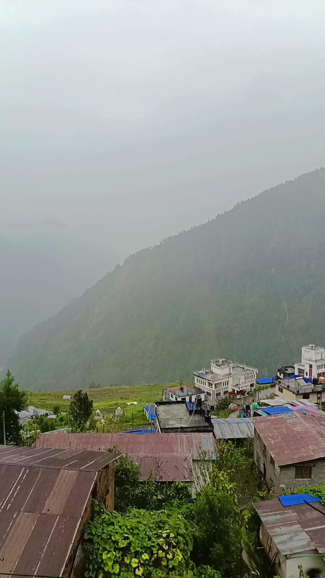 @Gyaldang Aamod