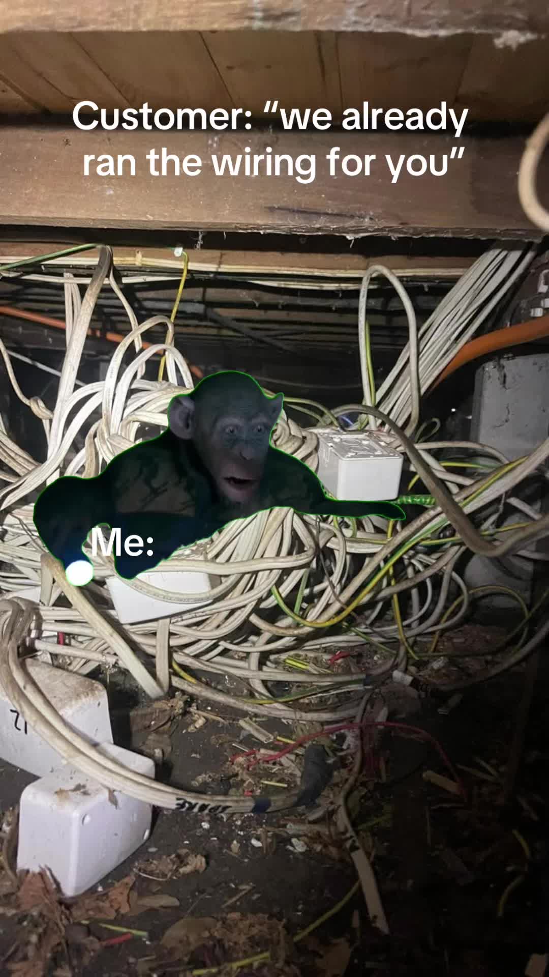 @Boy from the Bush