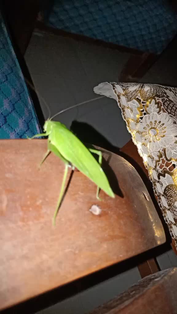 @𝑰 𝒂𝒎 𝒀𝒖𝒏𝒊𝒕𝒂