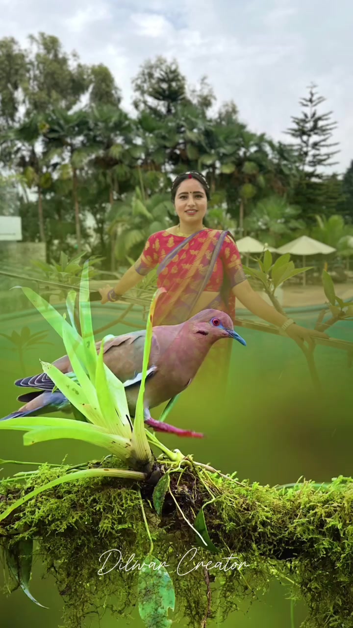 @shreyabogati013