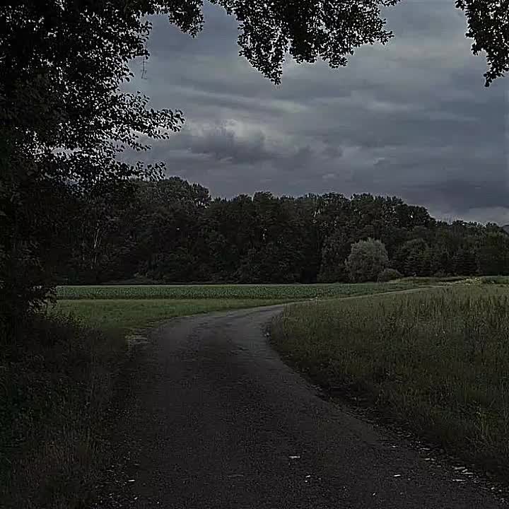 @si