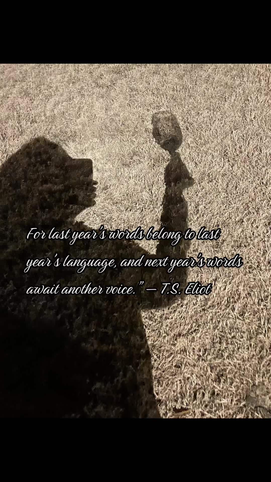 @traciebscrollin