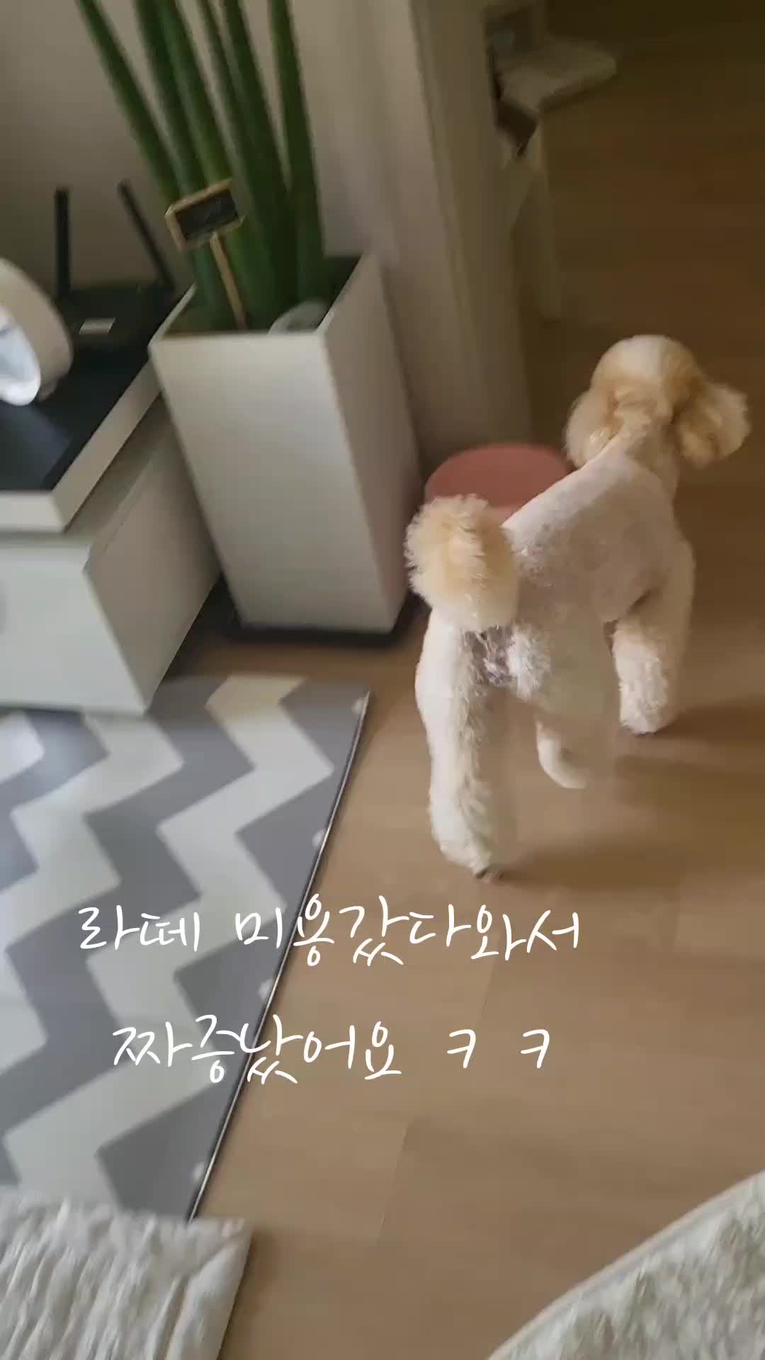 @예쁜라떼