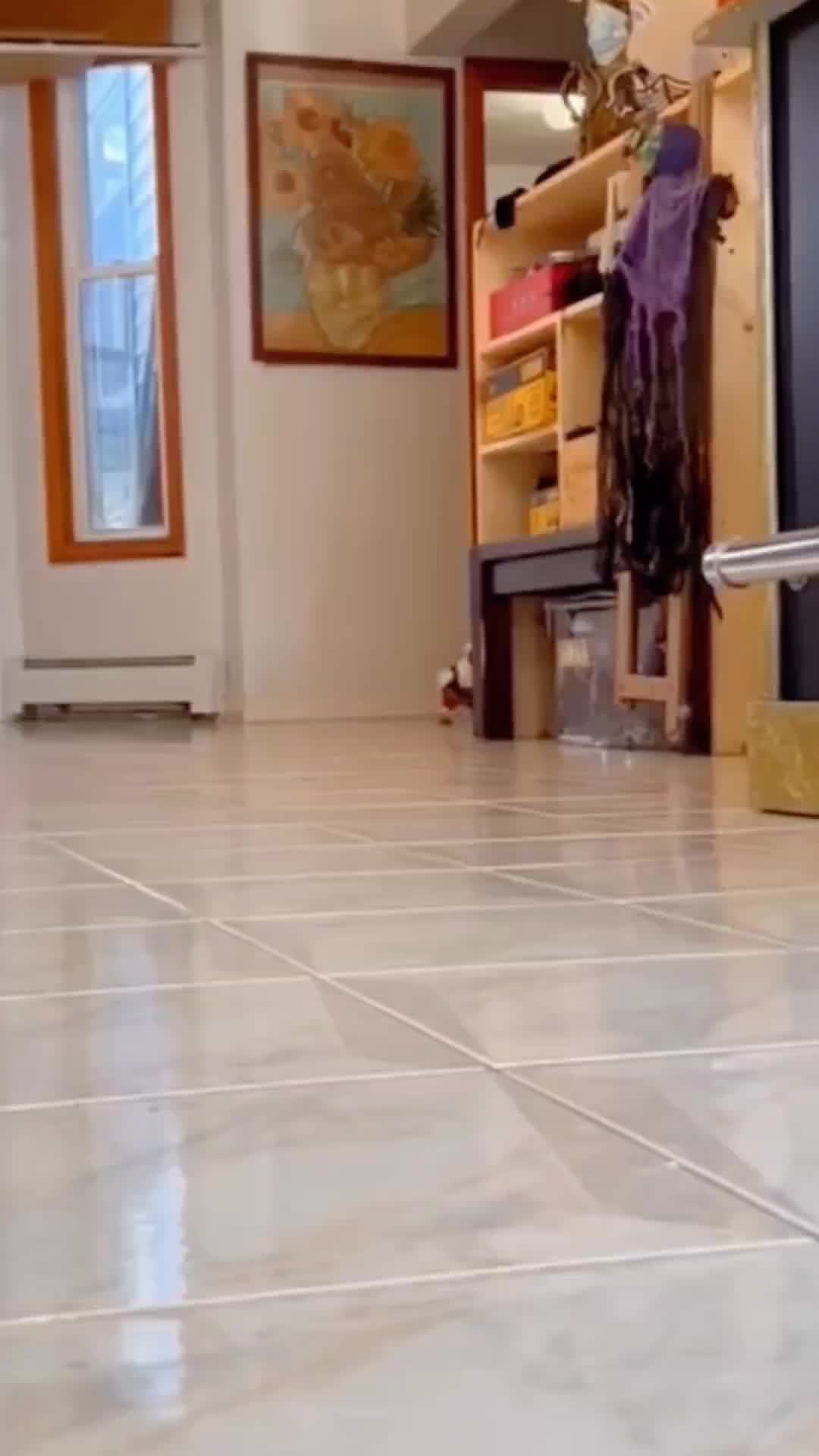 @Cute little pet 💕