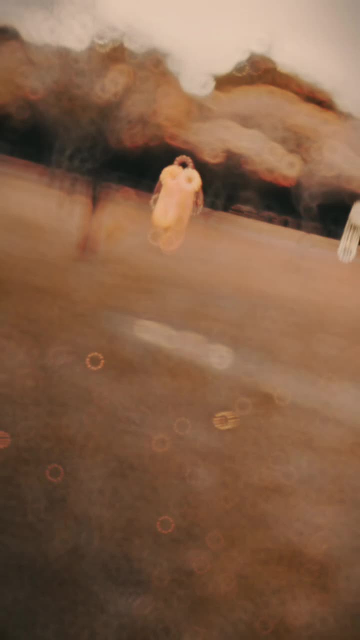 @MƦ.  ƁƘ☆⁸8⁸☆