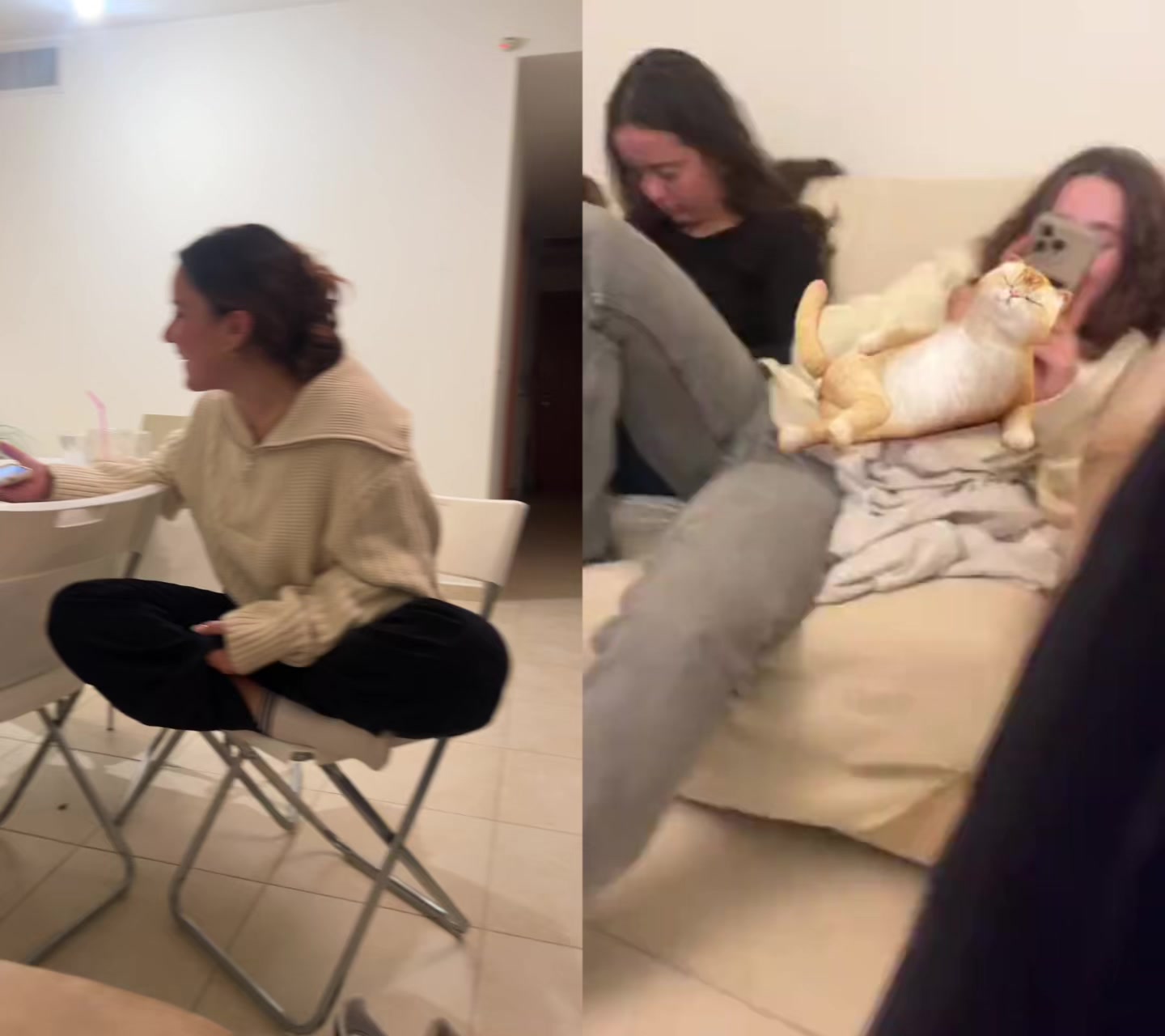 @TzevetShahash