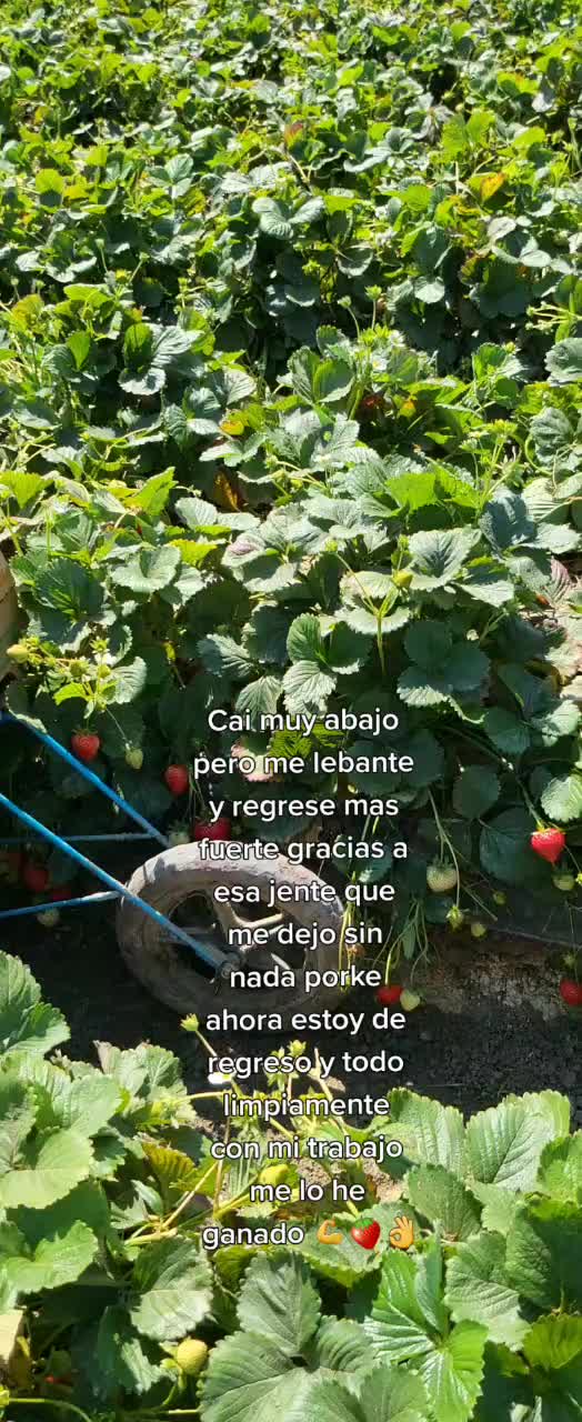 @Zapata831