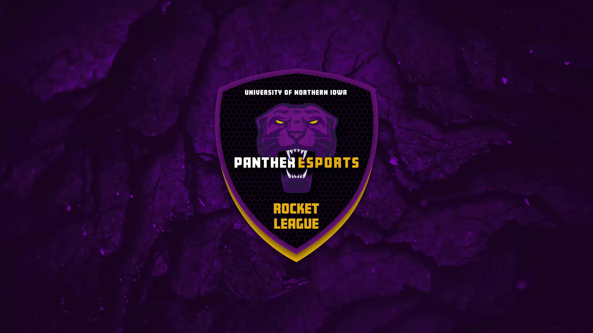 @Panther Esports