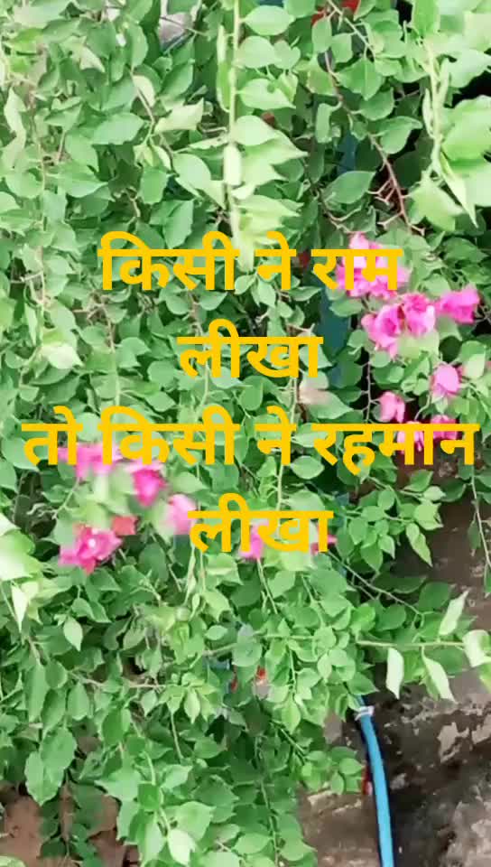 @Babita Kumari