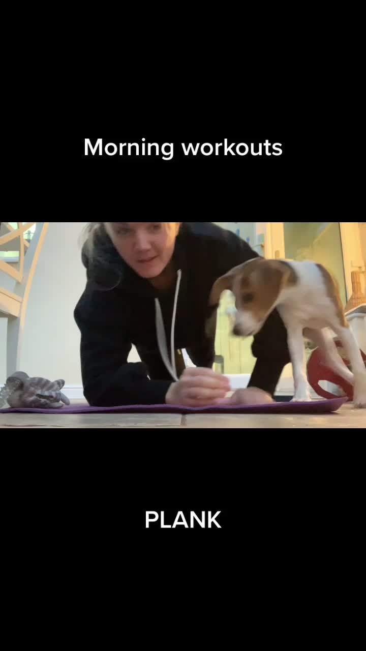 @Lync the Pocket Beagle ๐ถ