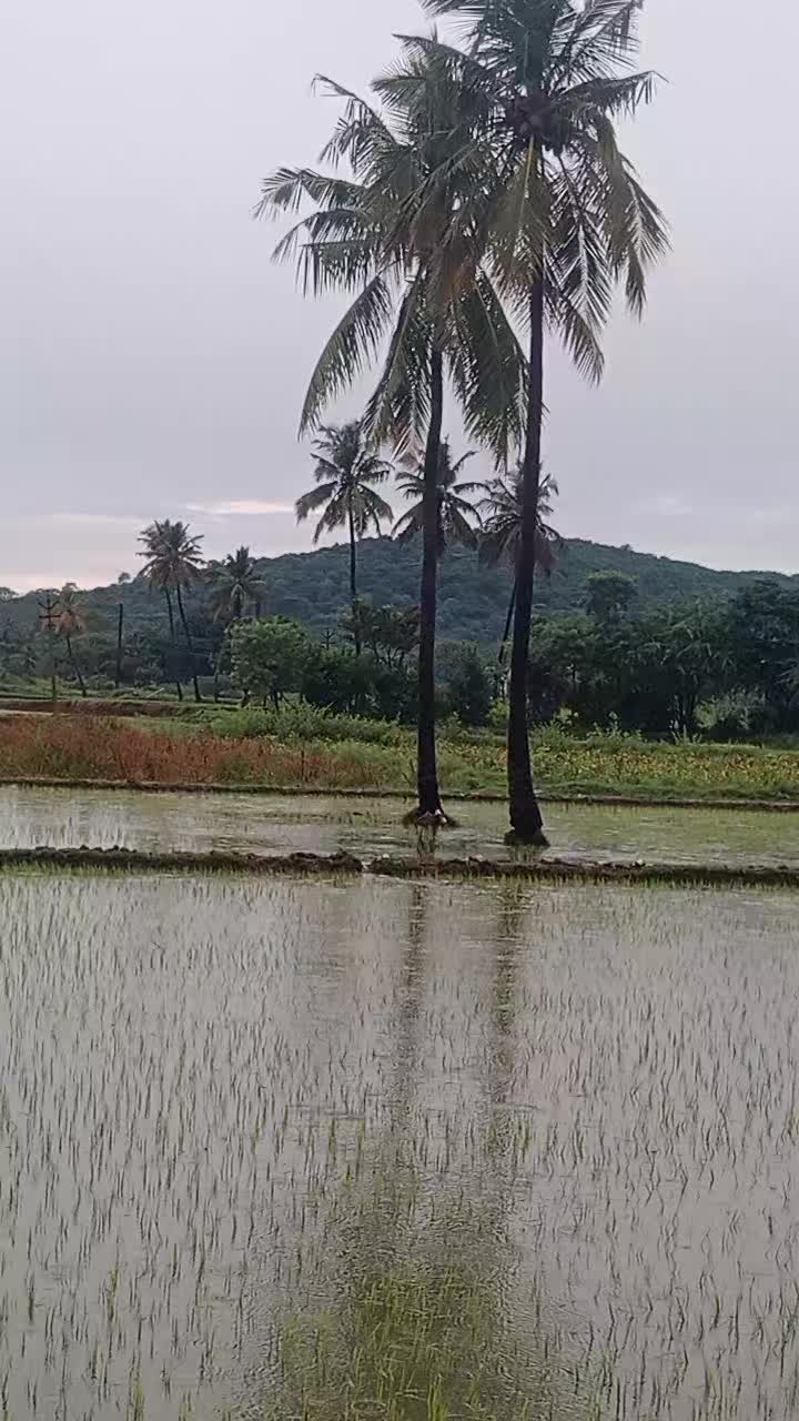 @கிராமத்துகருவாயன்🔰🔰🔰🌾